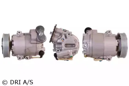 dri-700510825