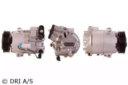 dri-700510839