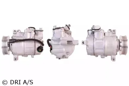 dri-700510881