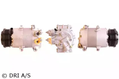dri-700510900