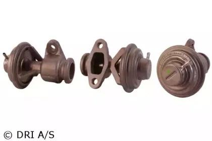 dri-717710061