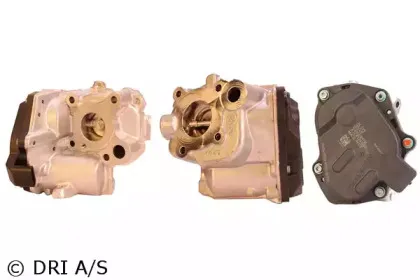 dri-717730139