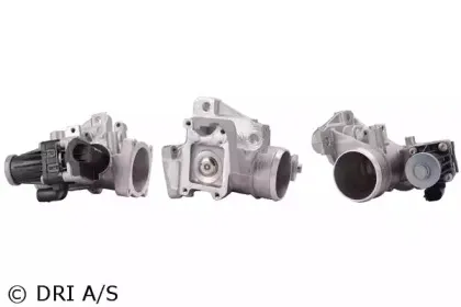 dri-717730144