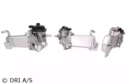 dri-717730159
