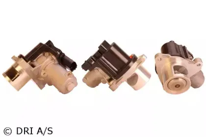 dri-717730161