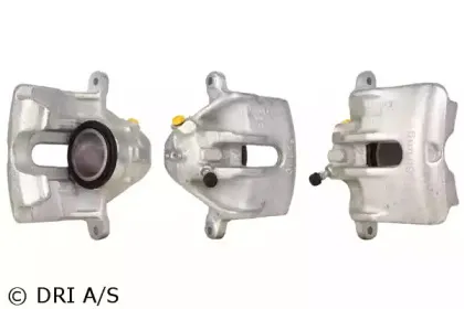 dri-3113600