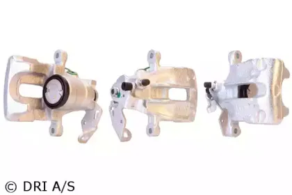 dri-4219510