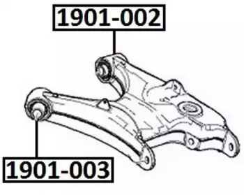 1901-002 ASVA