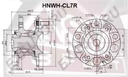 HNWH-CL7R ASVA