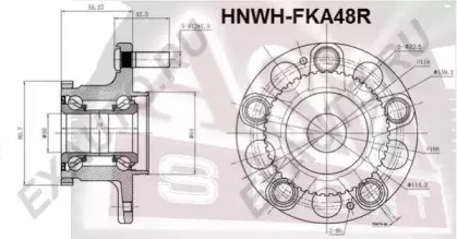HNWH-FKA48R ASVA