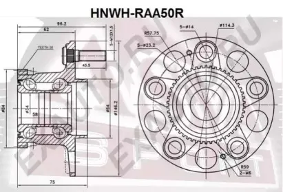 HNWH-RAA50R ASVA