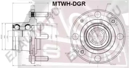MTWH-DGR ASVA
