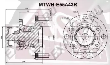 MTWH-E55A43R ASVA Ступица колеса