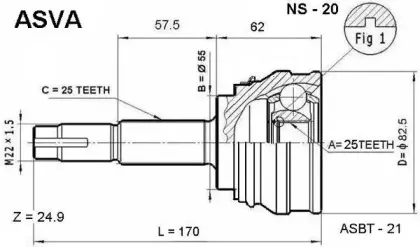 asva-ns20