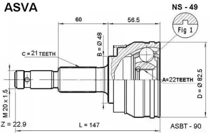 asva-ns49