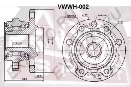 VWWH-002 ASVA