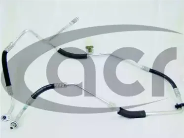 acr-119217