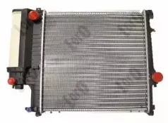 loro-0040170016