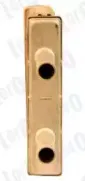 loro-0240150004b