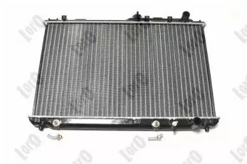 loro-0510170023