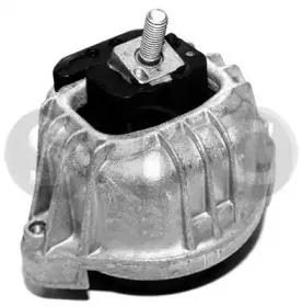 stc-t405769