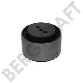 BK2884221SP BERGKRAFT Подвеска, рычаг независимой подвески колеса