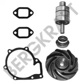 BK3117722WP BERGKRAFT Ремкомплект, водяной насос