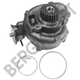 BK4197711WP BERGKRAFT Водяной насос