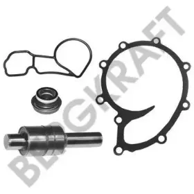 BK6217722WP BERGKRAFT Ремкомплект, водяной насос