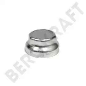 BK8002508 BERGKRAFT