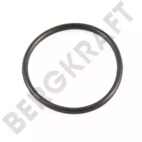 BK8200054 BERGKRAFT Уплотняющее кольцо, масляный радиатор