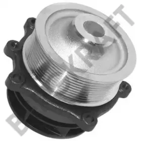 BK8801608 BERGKRAFT Водяной насос