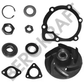 BK8802500 BERGKRAFT Ремкомплект, водяной насос