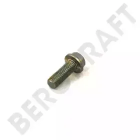 BK9000913 BERGKRAFT