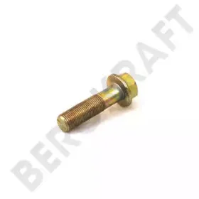 BK9002568 BERGKRAFT
