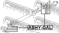 febest-ashygal