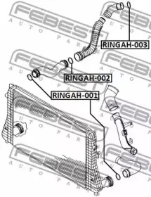 febest-ringah003