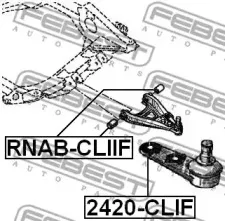 febest-rnabcliif