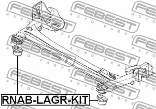 febest-rnablagrkit