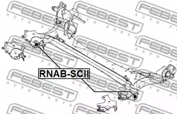 febest-rnabscii