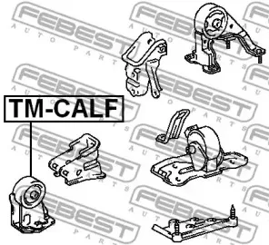 febest-tmcalf