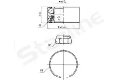 LO 03596 STARLINE