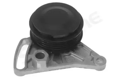 RS A30910 STARLINE Натяжной ролик, поликлиновойремень