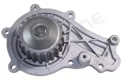 VP P137 STARLINE Водяной насос