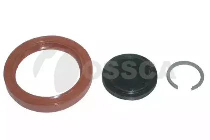 00298 OSSCA