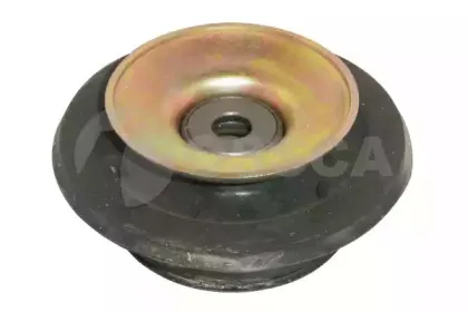 ossca-00318