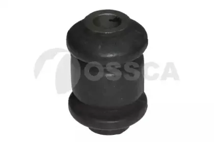 00324 OSSCA