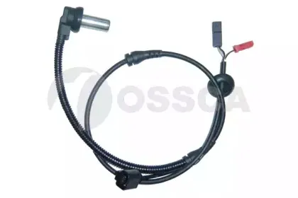 01594 OSSCA