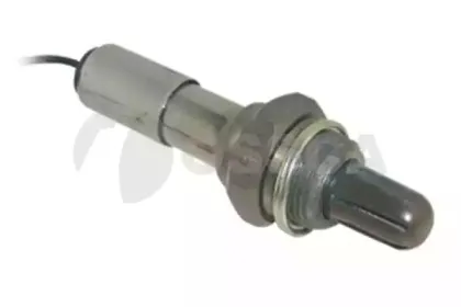 ossca-01812