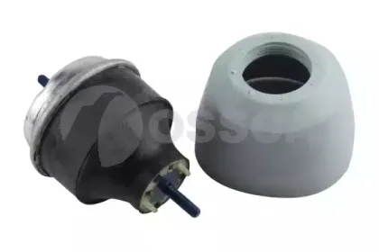 01899 OSSCA